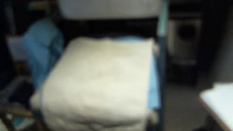 .     y e l l o w s n a k e s       . online show from 02/03/26, 06:22