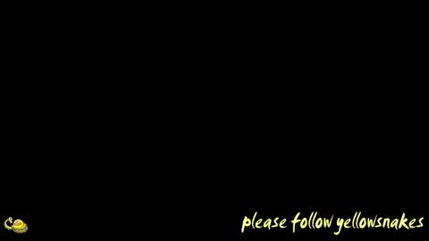 .     y e l l o w s n a k e s       . online show from 04/15/26, 11:17