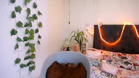Snapshot of yemfairymcry chatting on 05/20/26, 05:30 YEM online show from 05/20/26, 05:30