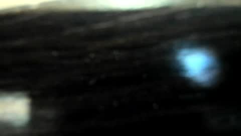 yoonhee_ki online show from 04/05/26, 02:47