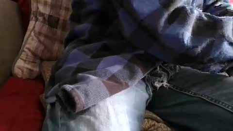 kindahorny online show from 04/07/26, 08:09