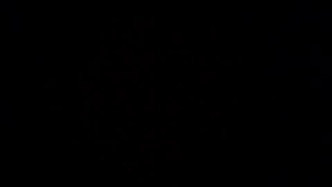 Scent online show from 02/17/26, 08:33