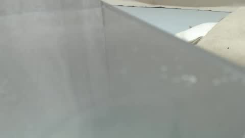 your_guy111 online show from 04/11/26, 12:15