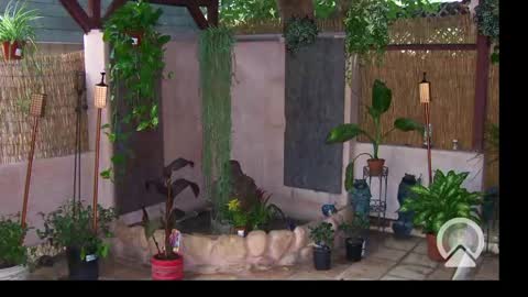 Sophiestar online show from 02/24/25, 10:26