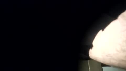 yourexpirementmale online show from 07/26/26, 08:49