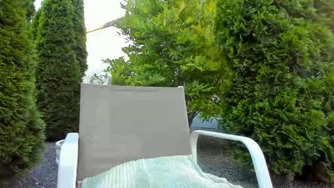 Jacky online show from 06/11/26, 04:32