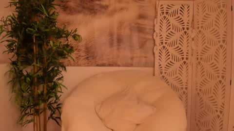 Snapshot of yourmidnightcoffee chatting on 01/28/25, 11:28 Sarah online show from 01/28/25, 11:28