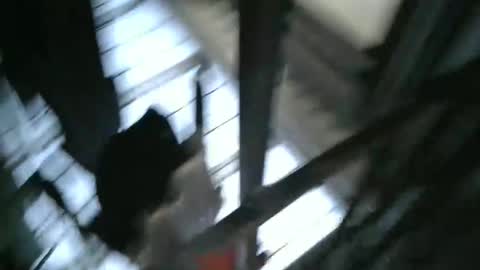 yourpersonalgeniusl online show from 12/15/24, 10:47