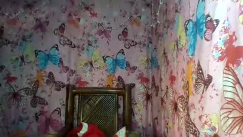 im MAY online show from 02/12/25, 10:37