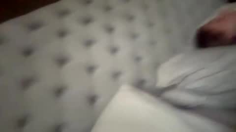 You want us 69 online show from 09/14/25, 05:50