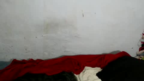 yummytittsxx online show from 03/02/26, 03:09