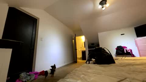 BbyTSSLut online show from 11/21/25, 02:32