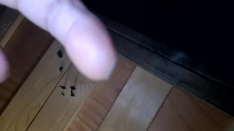 yungnhandsumdee online show from 10/13/25, 05:51