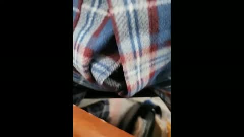 Snapshot of yuppers1234 chatting on 02/05/25, 06:37 yuppers1234 online show from 02/05/25, 06:37