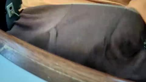 yuppers1234 online show from 12/19/25, 04:36