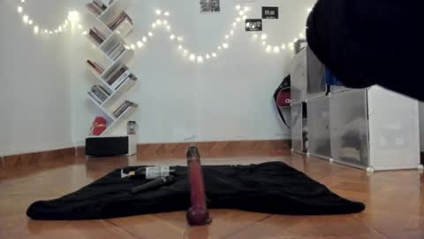 paola online show from 12/16/24, 08:26