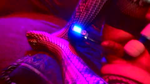 Z0RL0C online show from 10/04/25, 05:38