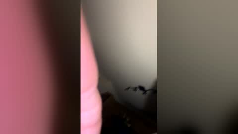 zachmurphbigboy online show from 03/01/26, 03:41