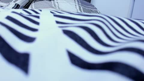 Snapshot of zack_froone chatting on 01/29/25, 04:08 Richard online show from 01/29/25, 04:08