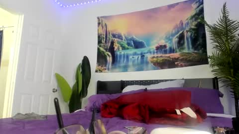 Zack Pipher online show from 03/30/26, 12:17