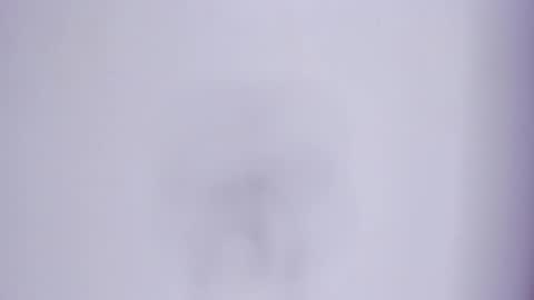 zafira online show from 03/07/26, 04:15