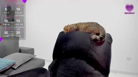 zafiralov online show from 12/05/25, 02:20