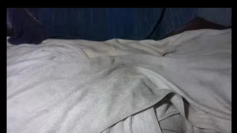 Snapshot of zakilandi chatting on 11/30/25, 01:48 pollasucia13 online show from 11/30/25, 01:48