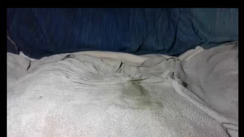 Snapshot of zakilandi chatting on 12/02/25, 06:36 pollasucia13 online show from 12/02/25, 06:36