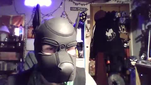 ZanePup online show from 07/06/26, 05:26