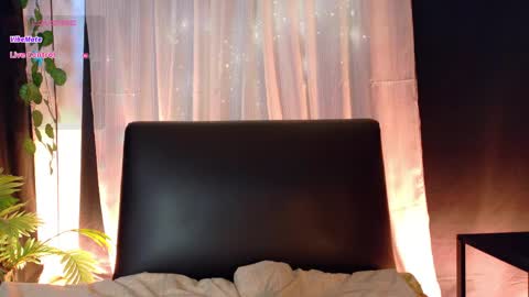 Zara online show from 05/13/26, 08:38