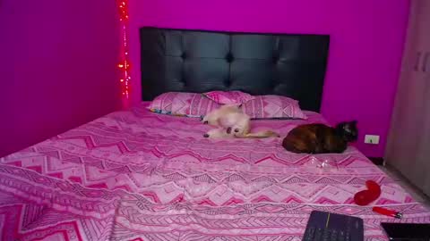 Snapshot of zara_tattoox chatting on 12/14/24, 12:33 ZARA ANYELINA online show from 12/14/24, 12:33