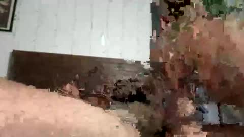 zayden online show from 10/23/25, 07:07