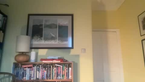 zephr1 online show from 12/10/24, 02:39