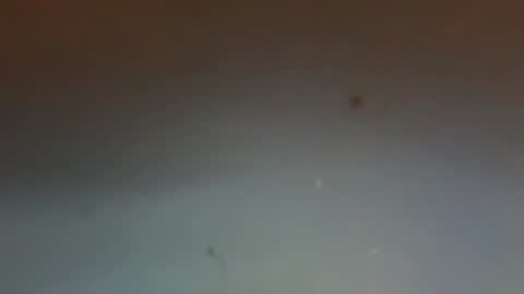 zervale online show from 08/08/26, 10:12