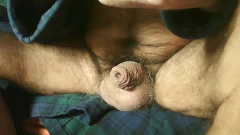 zevioo77 online show from 12/22/24, 08:16