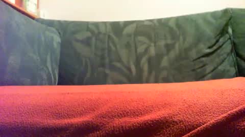 zevioo77 online show from 09/18/25, 08:11