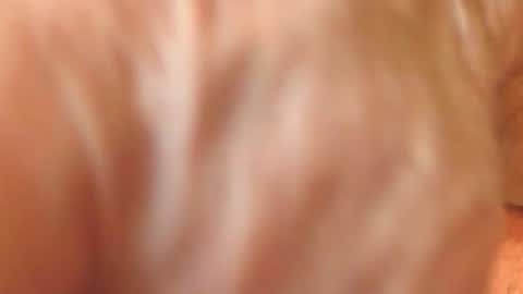 Snapshot of zevioo77 chatting on 11/18/25, 11:58 zevioo77 online show from 11/18/25, 11:58