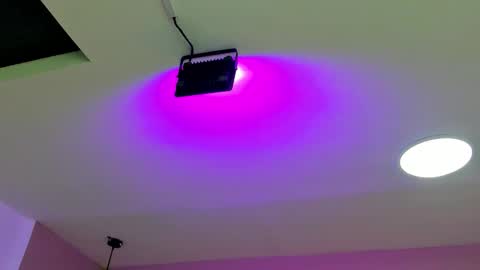 zia online show from 09/22/25, 11:23