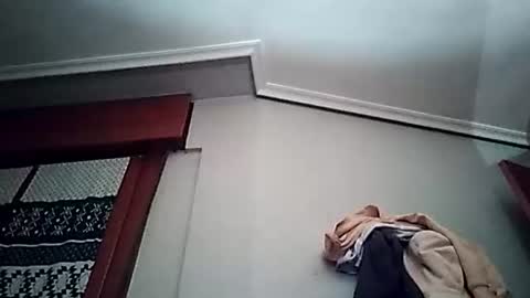 zigor13 online show from 03/24/26, 06:57