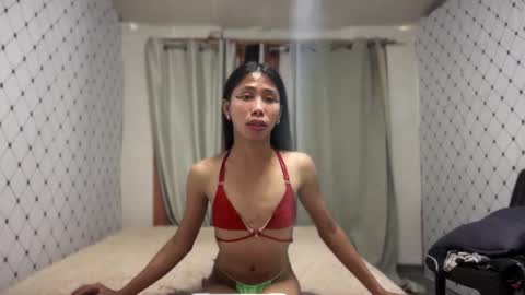 Zinnia nics online show from 11/19/25, 05:51