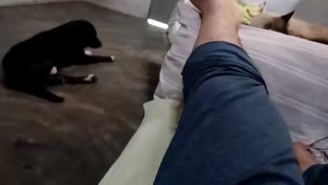 Snapshot of zitojose73 chatting on 10/08/25, 06:49 zitojose73 online show from 10/08/25, 06:49