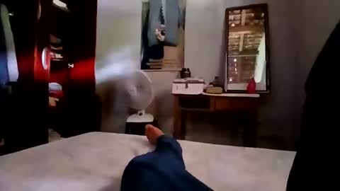 Snapshot of zitojose73 chatting on 11/04/25, 05:12 zitojose73 online show from 11/04/25, 05:12