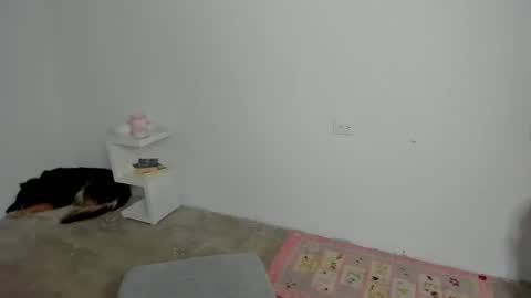 Zoe online show from 04/24/26, 09:17