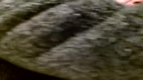 Snapshot of zolexthomas chatting on 01/28/25, 05:35 zolexthomas online show from 01/28/25, 05:35