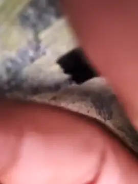 rajstrip12650 online show from 02/02/25, 11:53