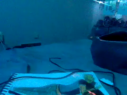 Snapshot of Fr4nk1eFFuxxx chatting on 01/03/25, 09:36 Fr4nk1eFFuxxx online show from 01/03/25, 09:36