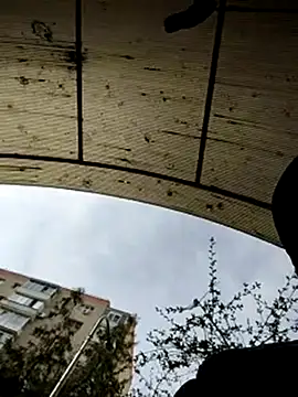 J0nyhson online show from 03/23/25, 07:31