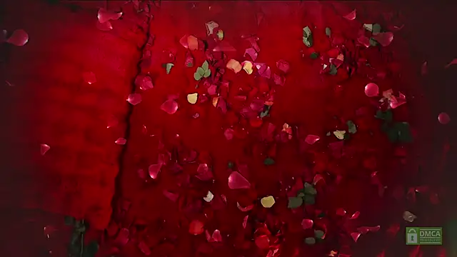 abbyhall  online show from 02/14/26, 08:49