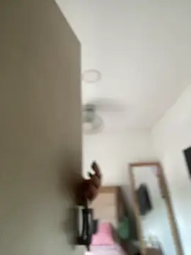 Lia flowers online show from 03/02/25, 05:25