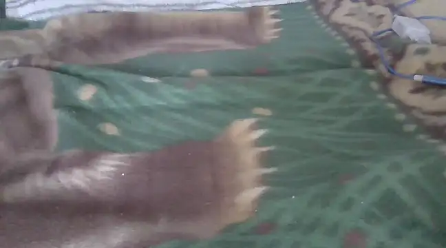 zorritasuperhot online show from 02/09/25, 05:33